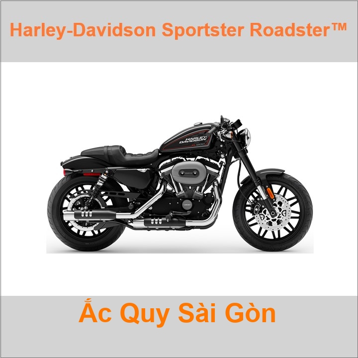 Harley Davidson Roadster 1200 CX ABS for sale in India  NSONE